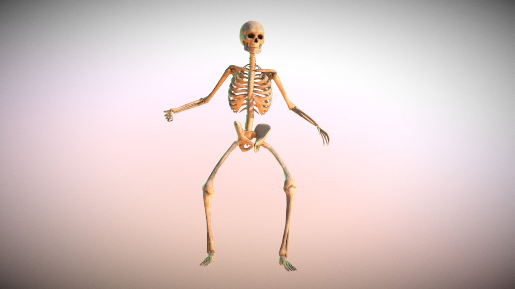 Skeleton animated
