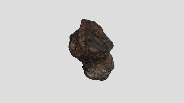 FOSSIL_08_F035757_199K 3D Model