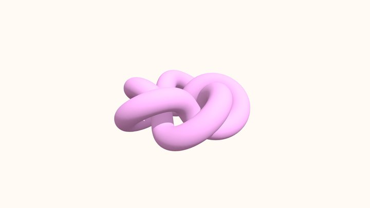 (2,5) torus knot 3D Model