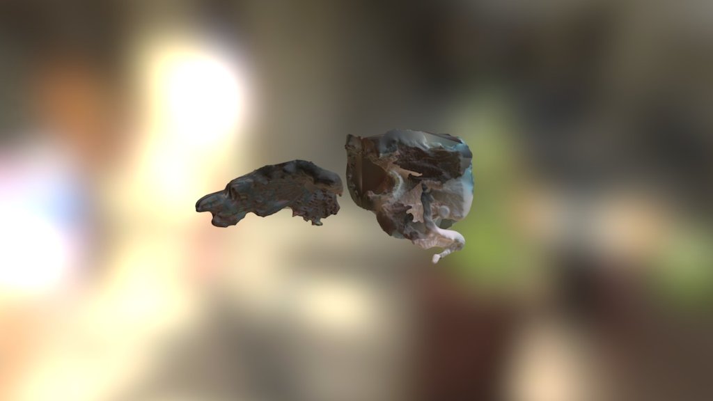 P001 3d Model By Ruiperez 921329c Sketchfab