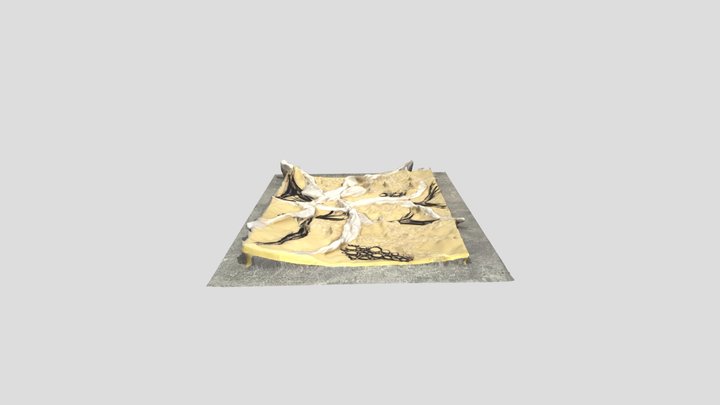 poly (3) 3D Model
