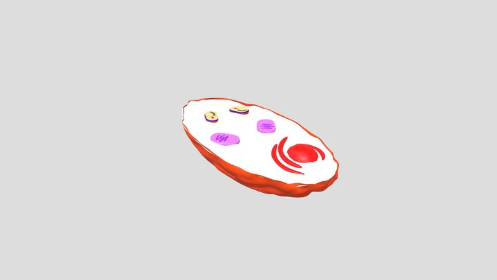 04 - CLOROPLASTO 3D Model