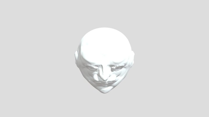 My model 3D Model