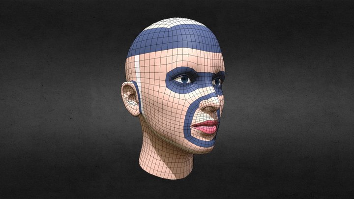 head Woman topología 3D Model