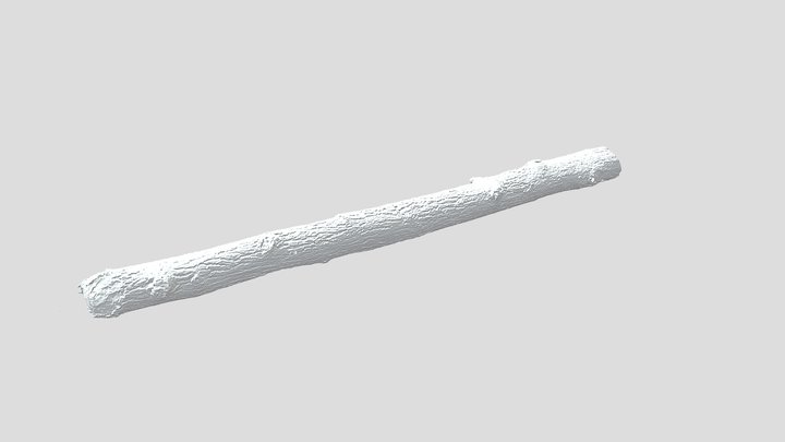 Before 3D Model