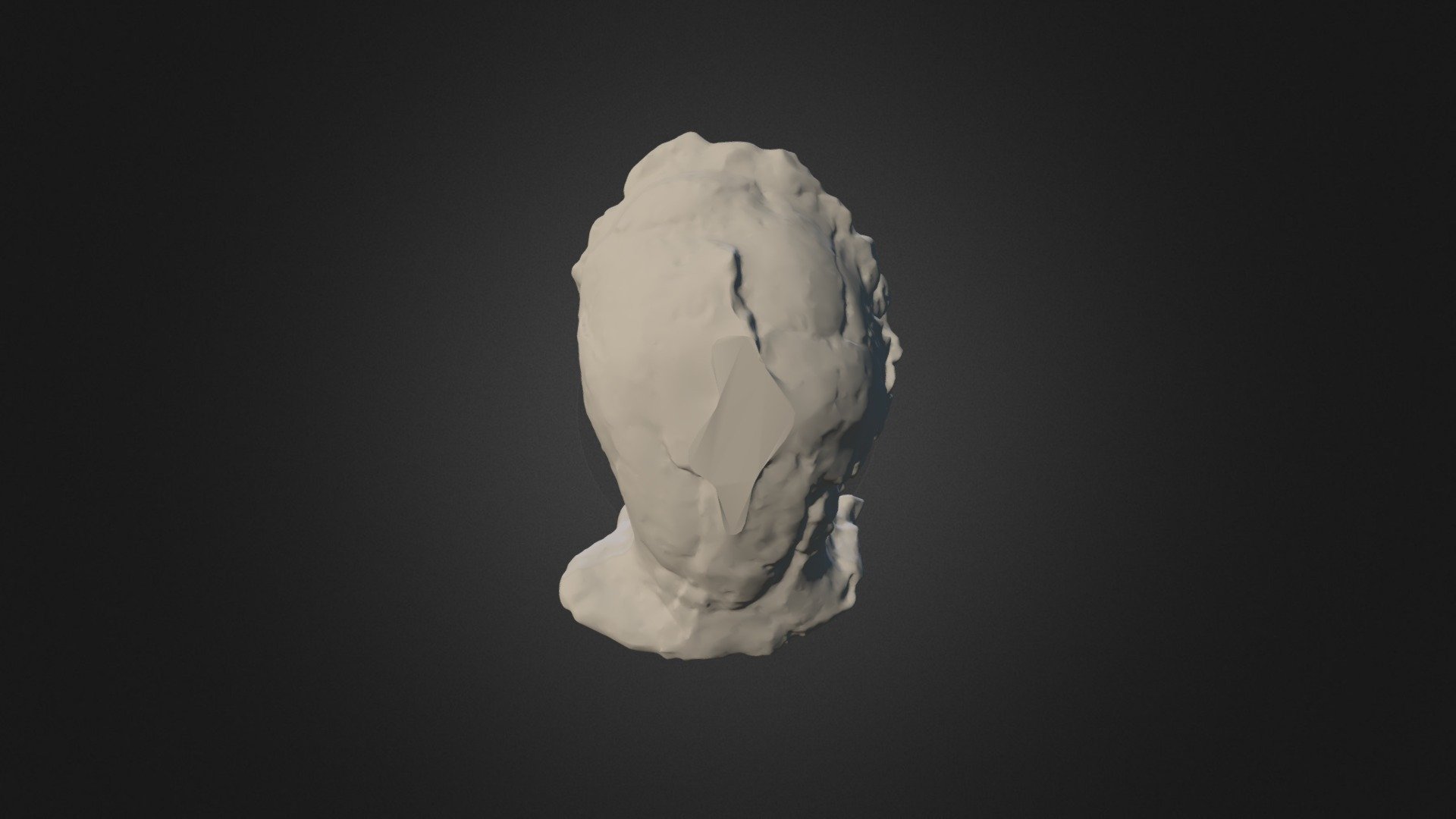 Sahelanthropus tchadensis