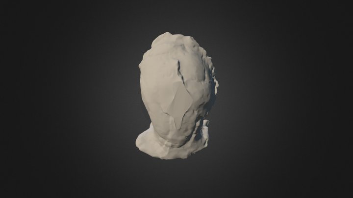 Sahelanthropus tchadensis 3D Model