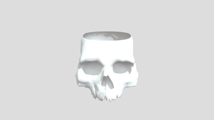 Skull Pencil Container 3D Model