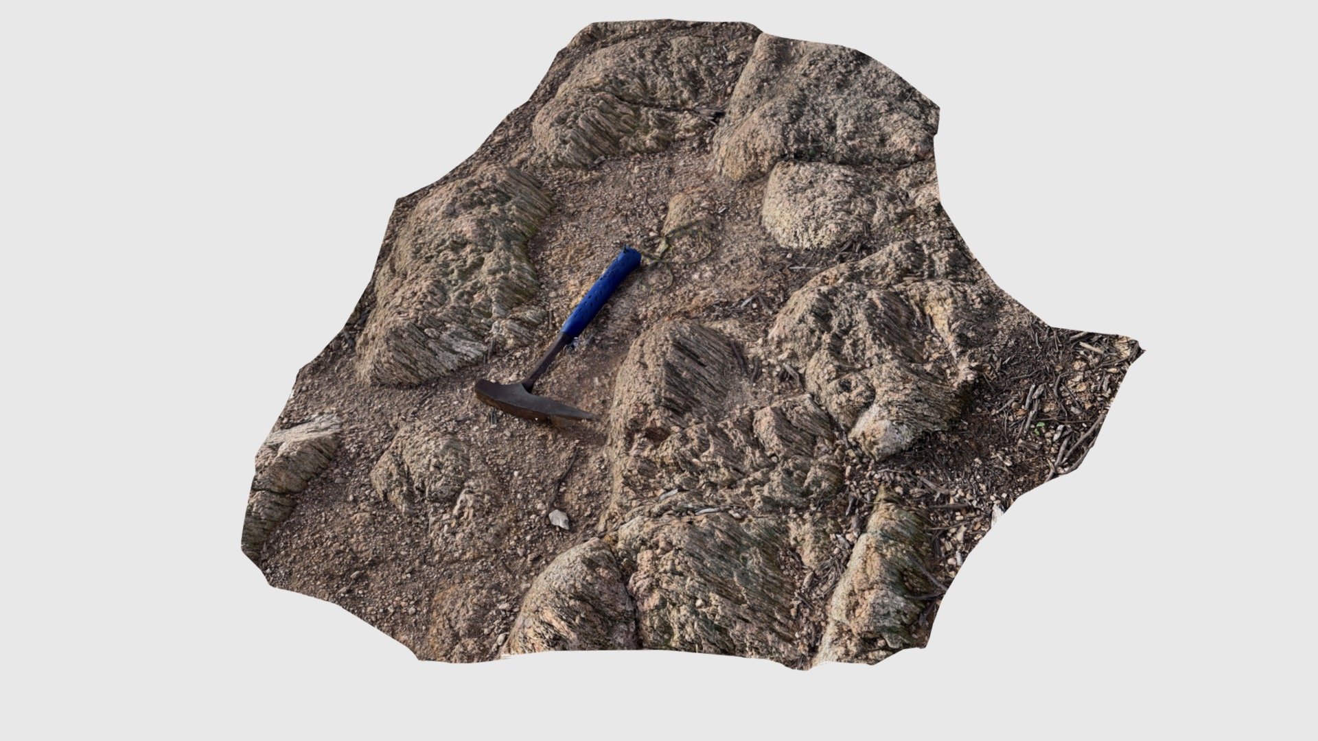 L- tectonite in Cannes migmatite (2) - Download Free 3D model by ...