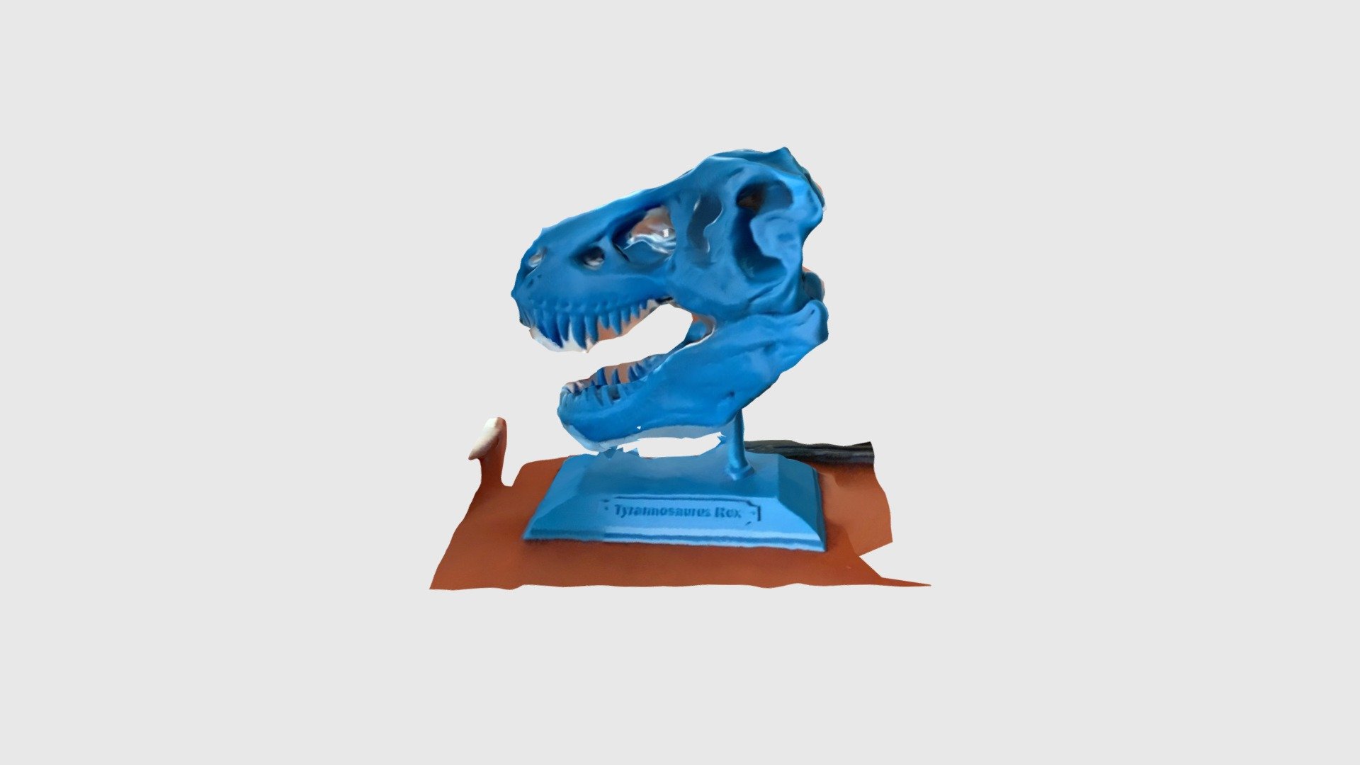 Rex