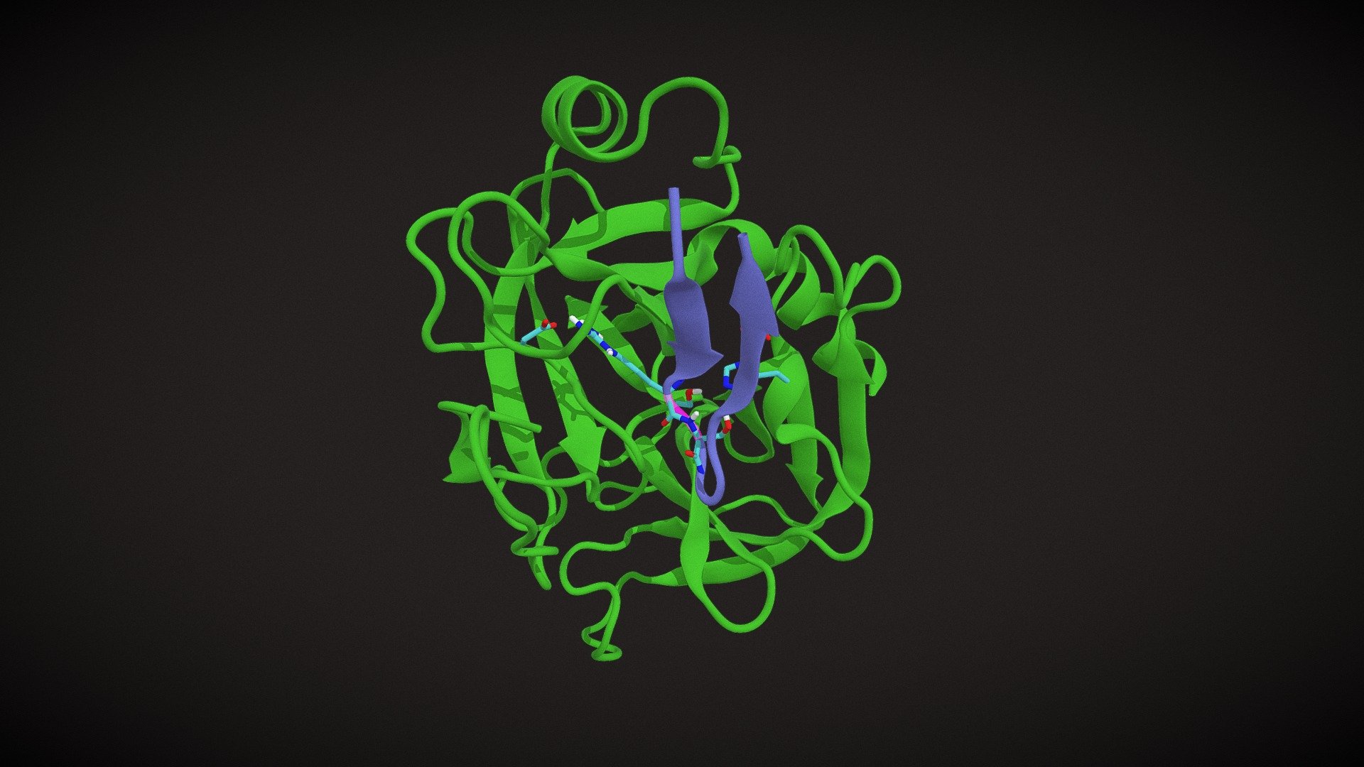 Serine Protease
