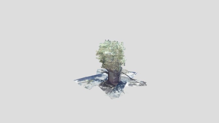 Gorse 0.5mm resolution with wind 3D Model