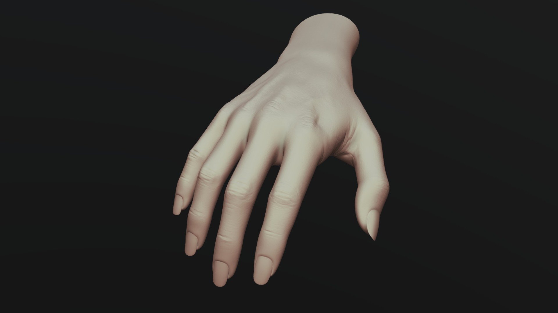 Humanoid (Female) Hand 7