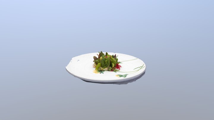 Plato1-281 3D Model