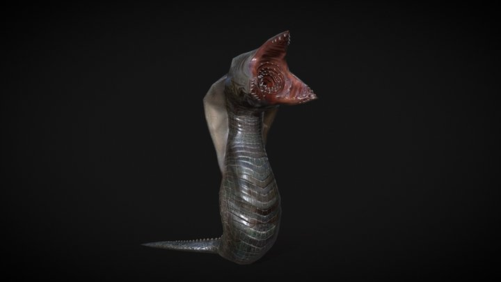 Swamp Shark 3D Model