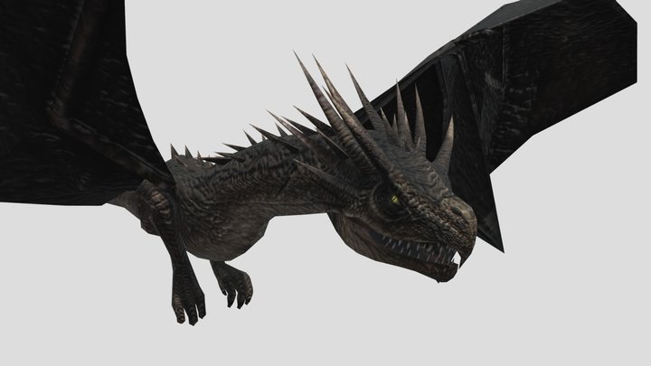 Hungarian Horntail Model 3D Model