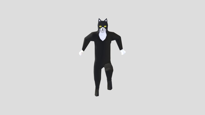Cat Model 3D Model