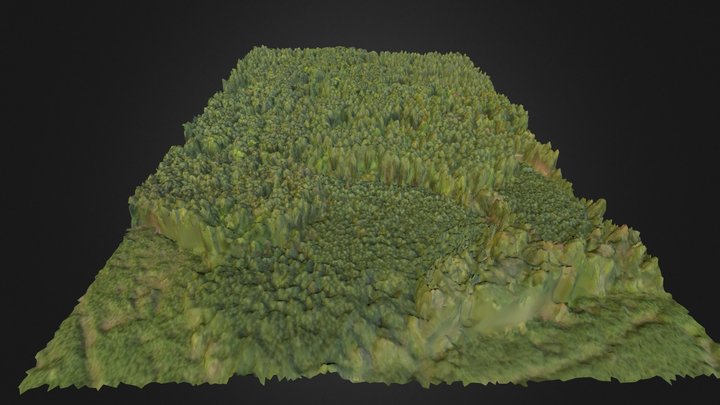 Duke Forest Hardwood Plot 3D Model
