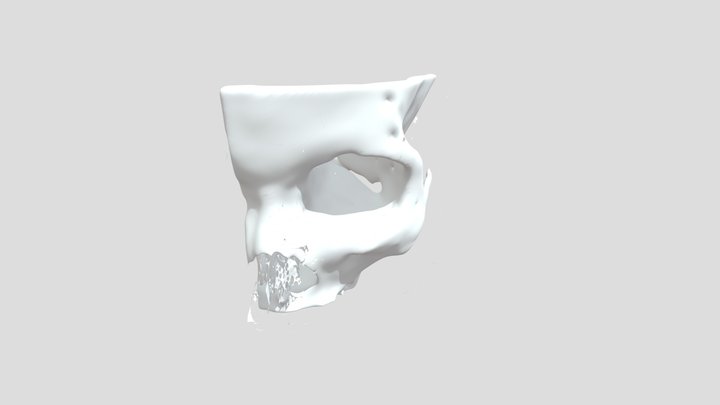 Orbit 3D Model