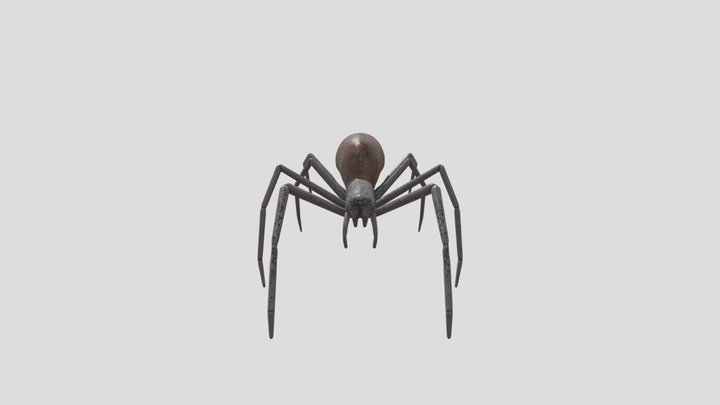 Folder Assignment B - Spider 3D Model