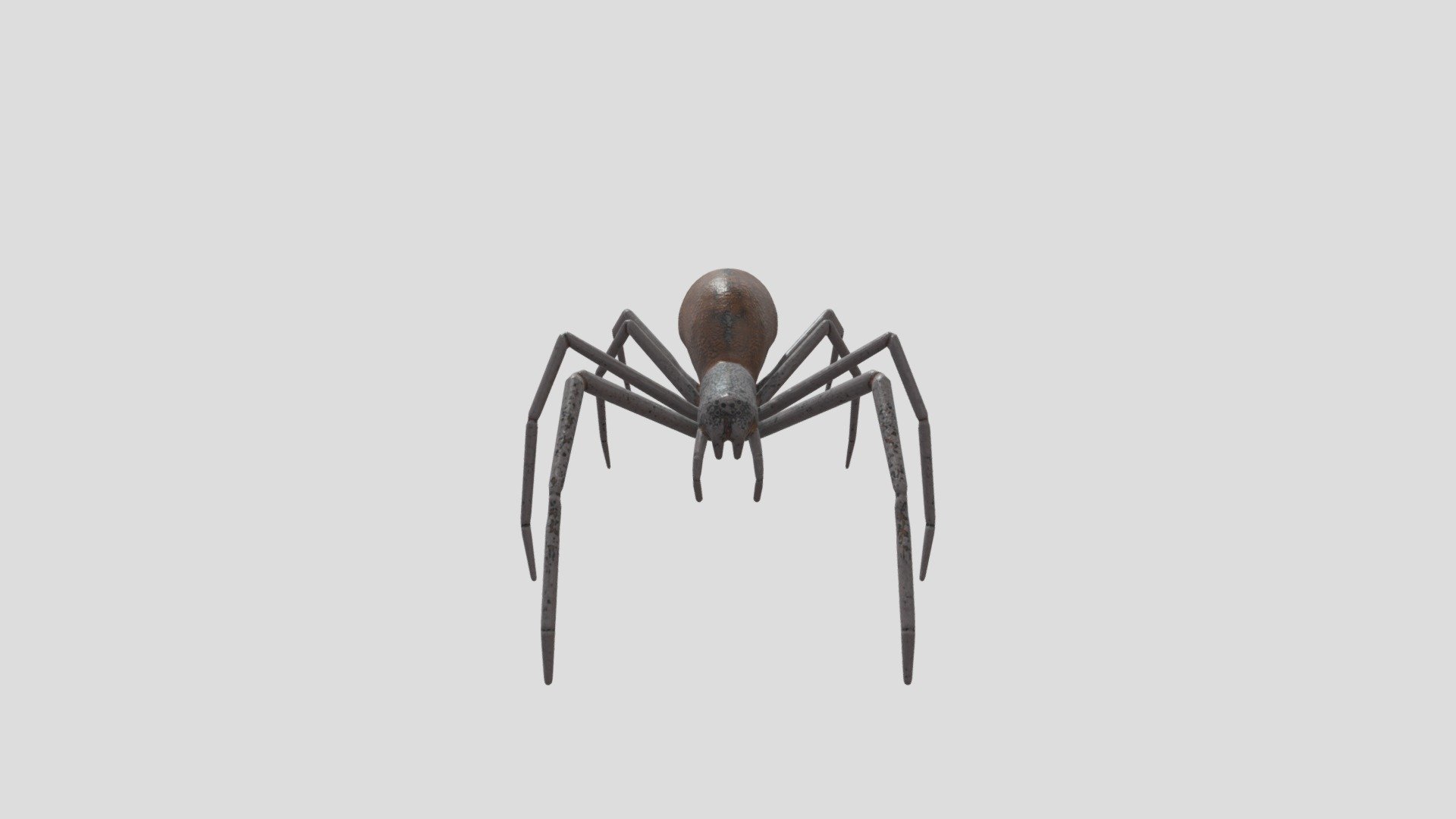 Folder Assignment B - Spider
