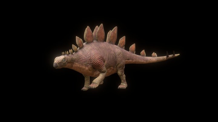 Stegosaurus 3D Model