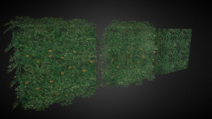Arbusto Decorativo 3D Model