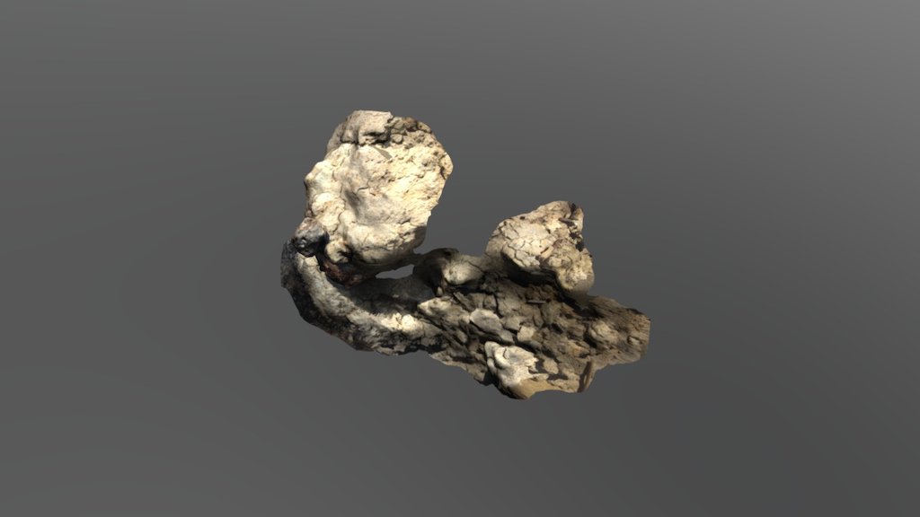 Purisima Formation