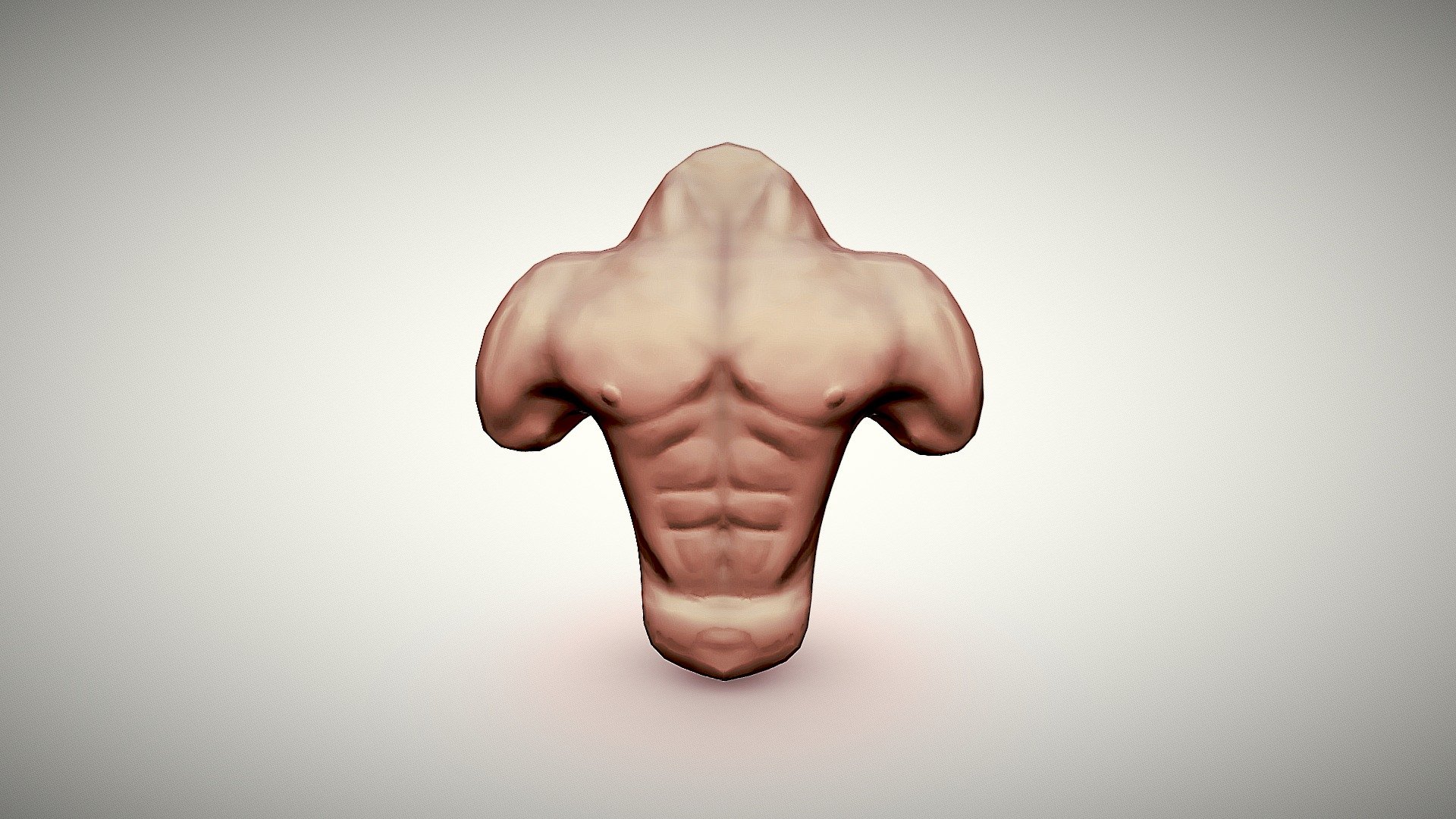 Torso