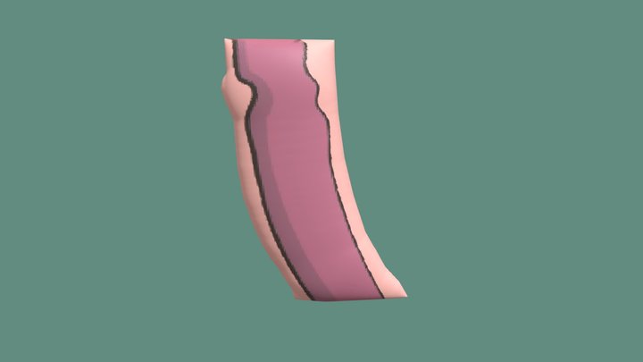 kerongkongan 3D Model