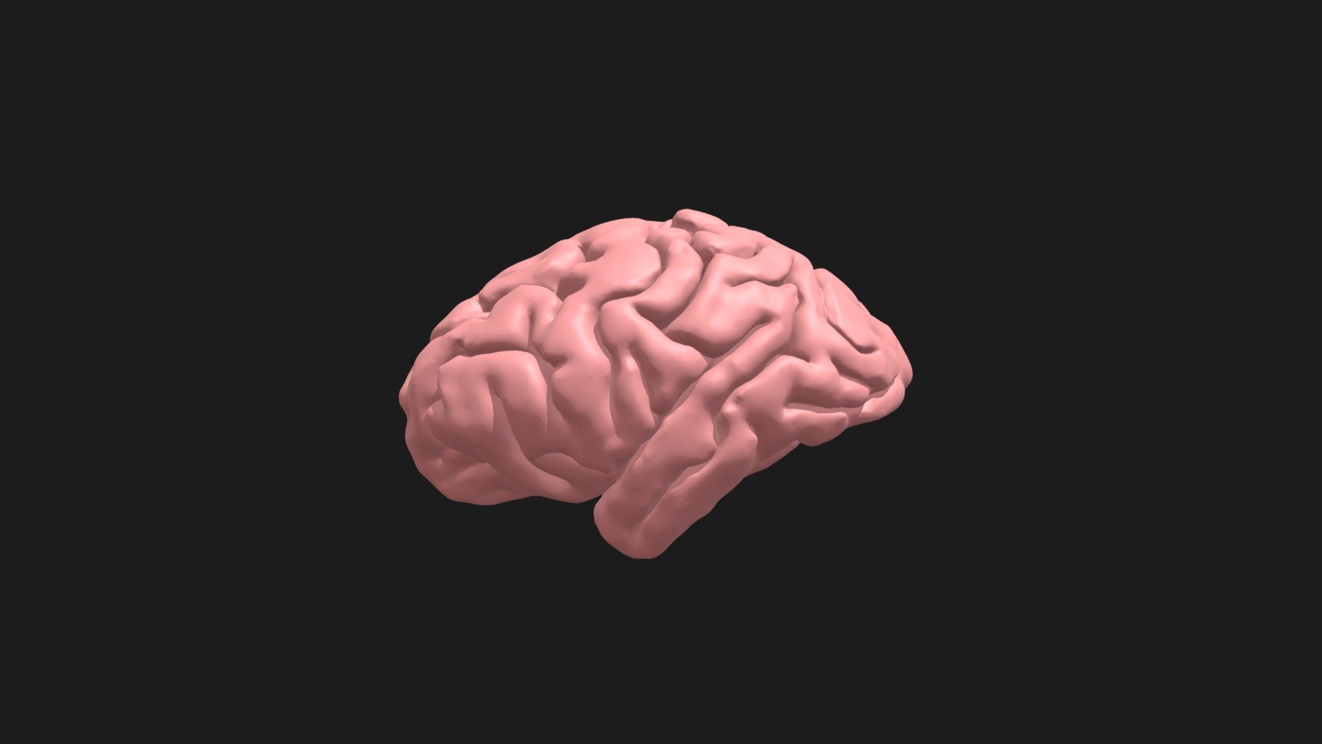 Gorilla Brain from MRI - Download Free 3D model by VISIBLE APE PROJECT ...