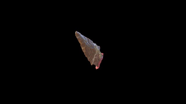 Projectile Point 1 3D Model