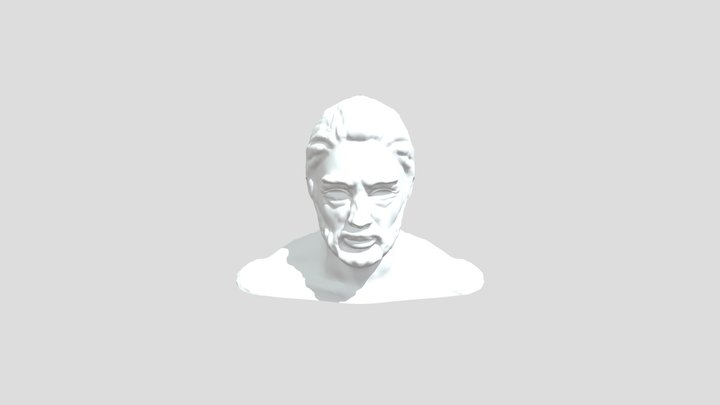 Head 3D Model