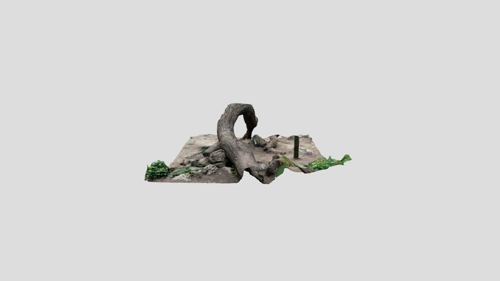 Ingleton Falls money tree 3D Model