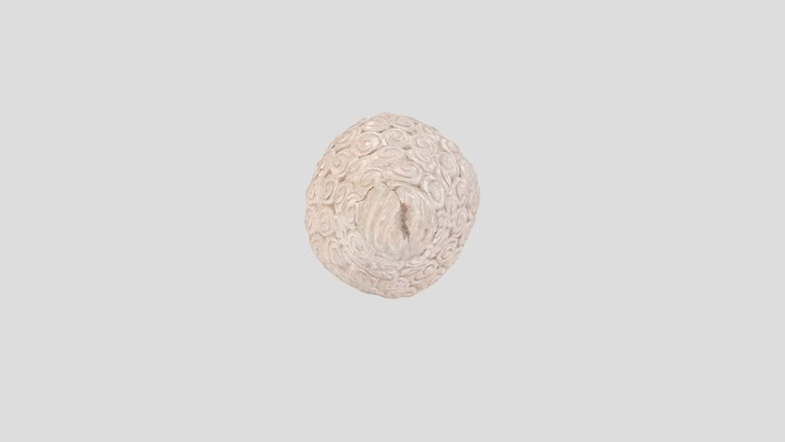 kultarto_t8 3D Model