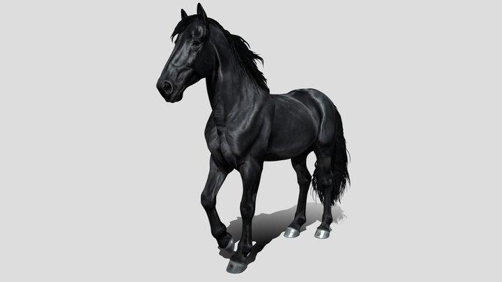 Midnight Black Horse 3d model free – Kostenloses 3D-Modell STL