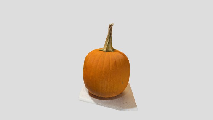 Pumpkin 3D Model