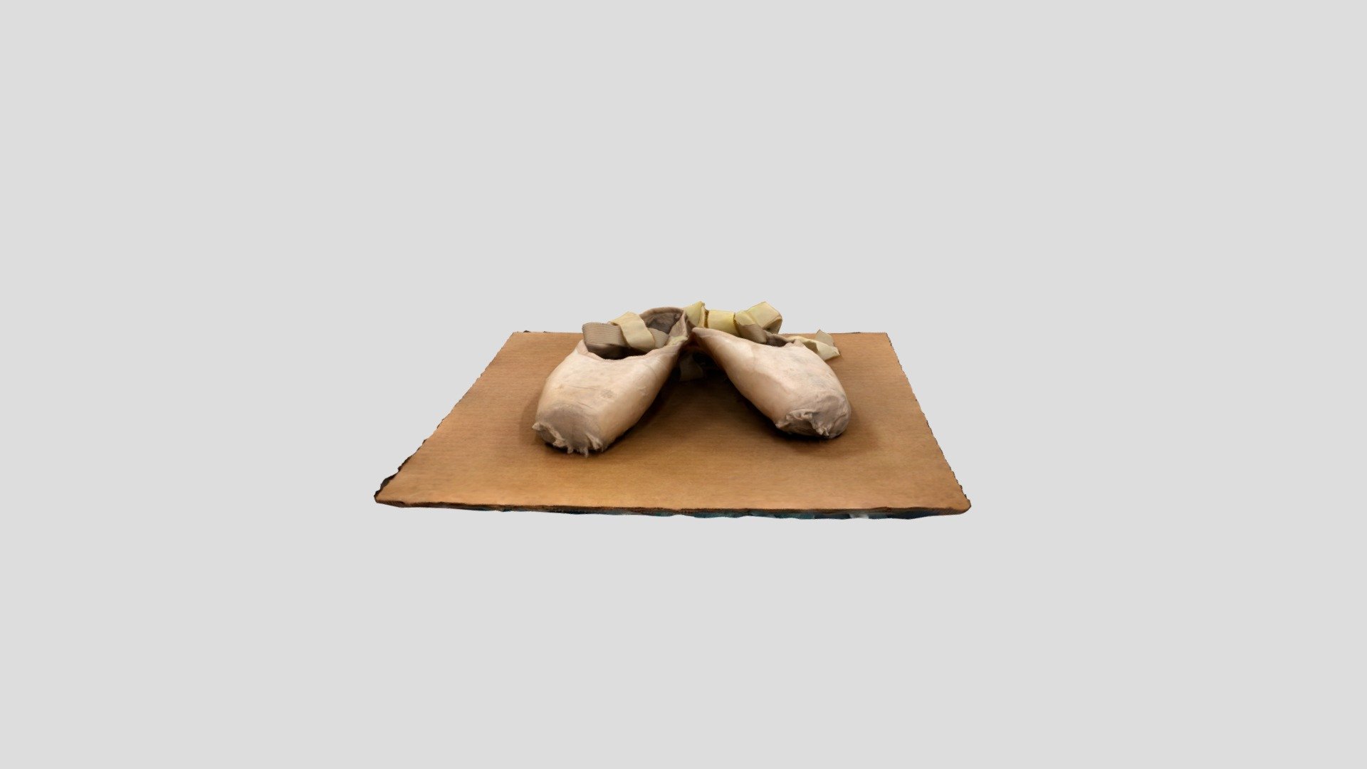 Pointe Shoes (Less Use:Water Damage:Ribbon)