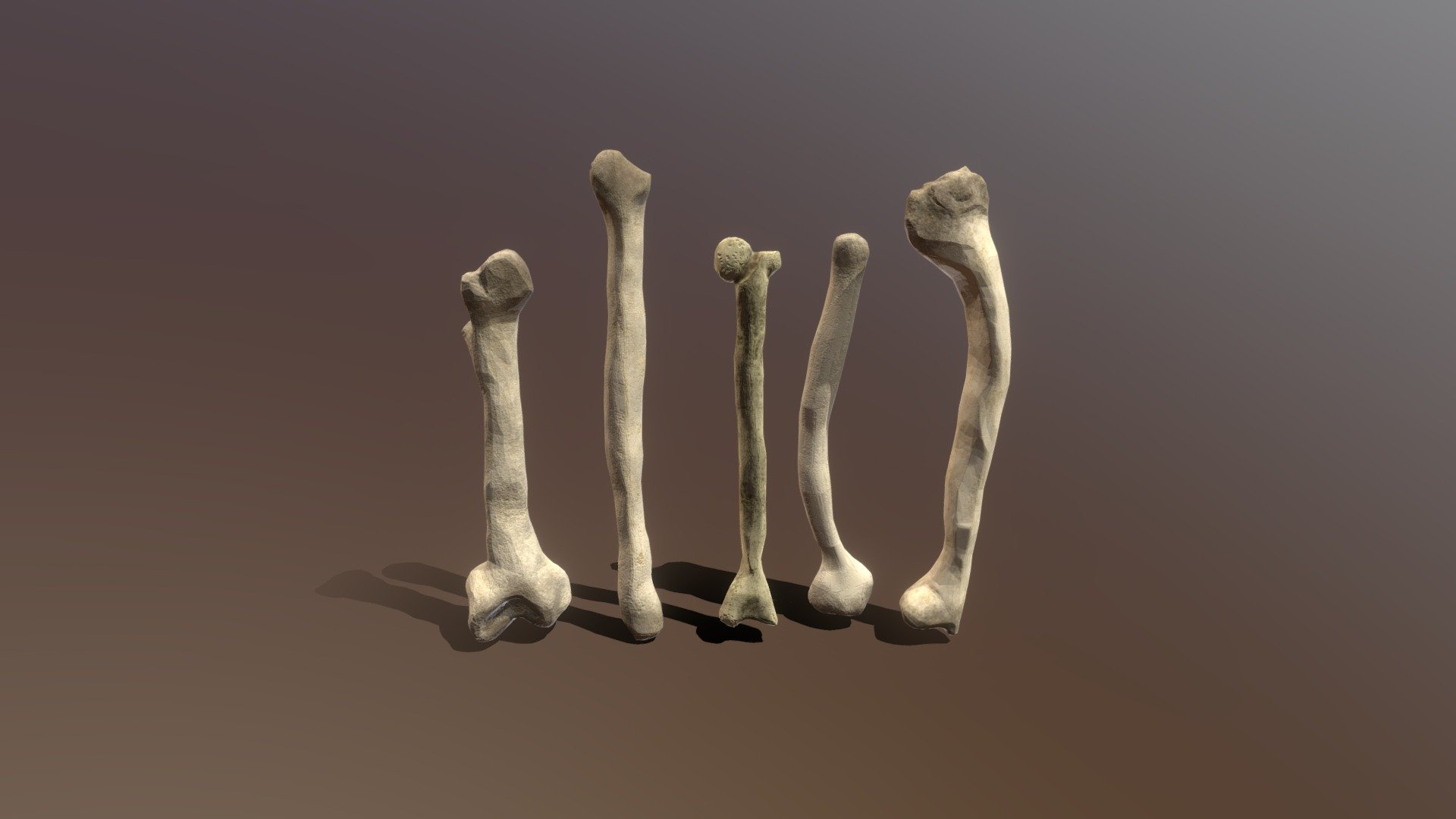 Bones - Download Free 3d Model By Joshua Fox (@fox.joshua) [925518d 