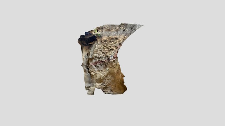 Untitled Scan 3D Model