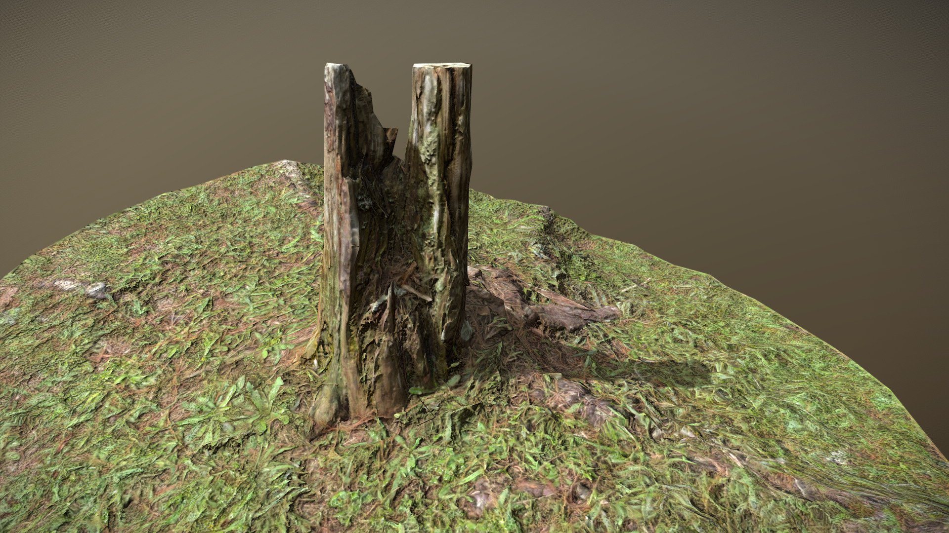 Trunk Lowpoly