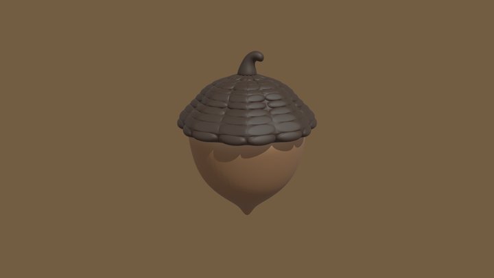 acorn 3D Model