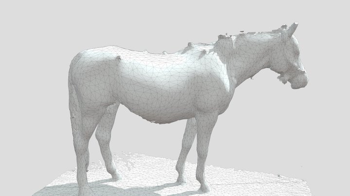 Testing with Katy 3D Model
