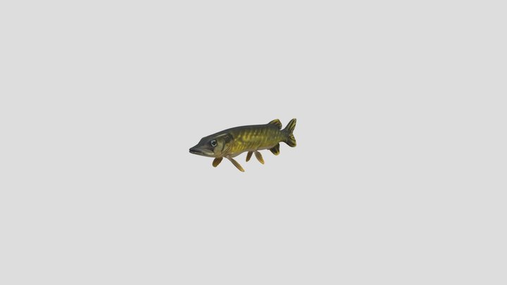Northern Pike (Esox lucius) – Gratis 3D-model STL