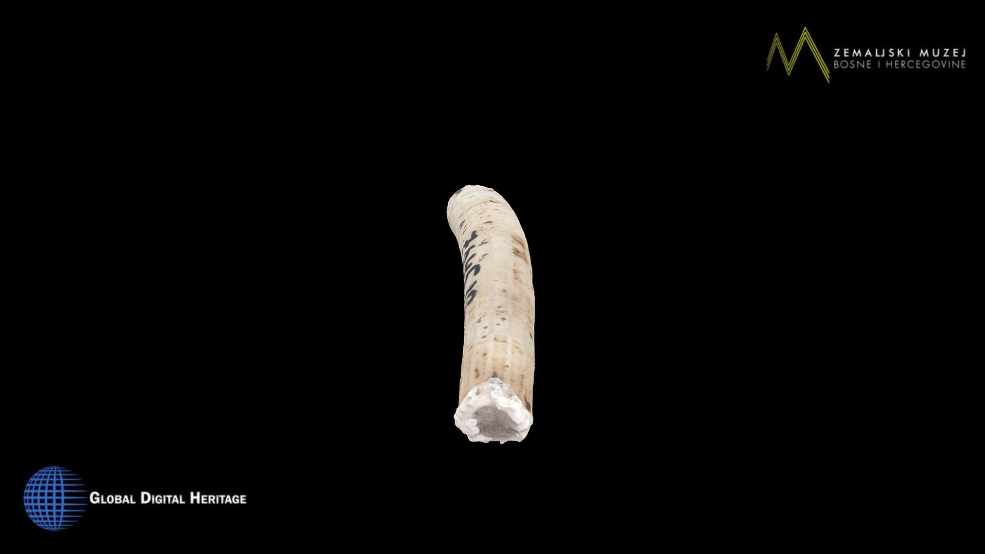 NMB&H, Palaeolithic ornament