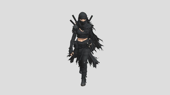Veiled Night Assassin 3D Model
