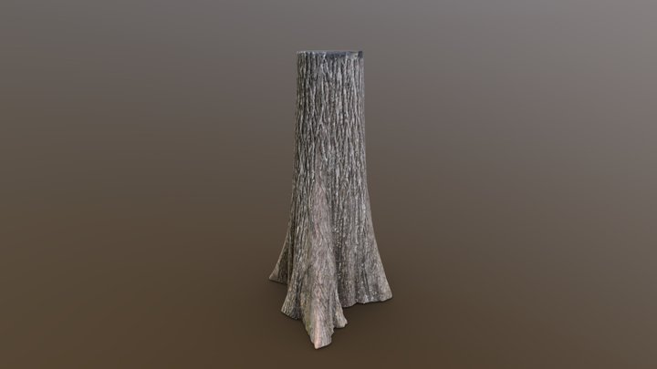 Bald Cypress Large 8/13/25 – Free 3D Model STL