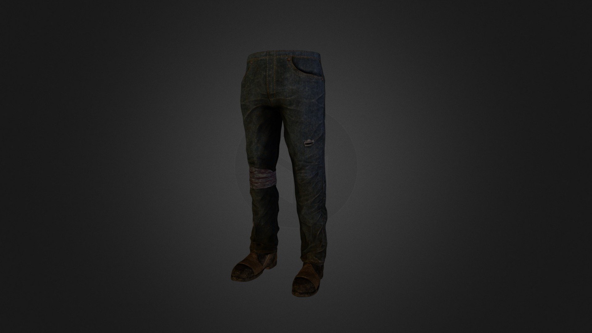 Pants Study