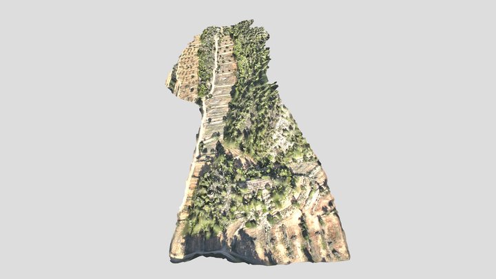 Zona 1 de actuación 3D Model