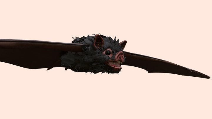Bat 3D Model